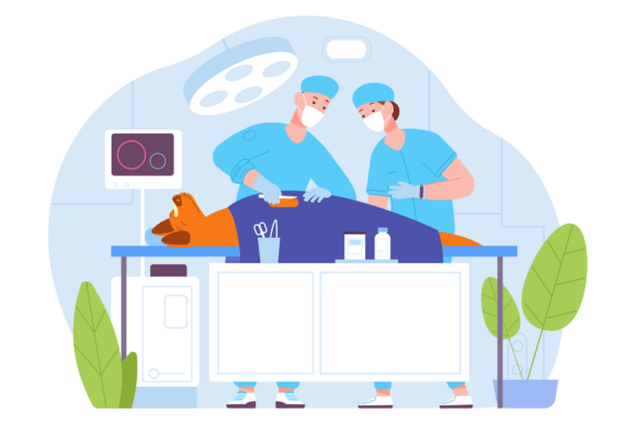 Dog Surgery Scene. Animal Doctor Medical